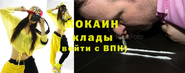 дживик Мегион