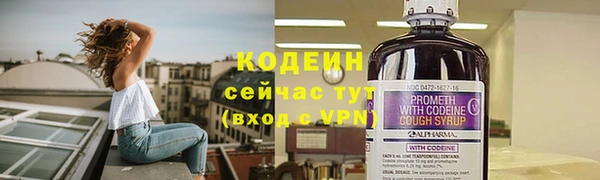 дживик Мегион