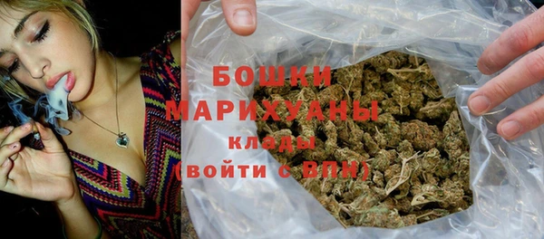 дживик Мегион