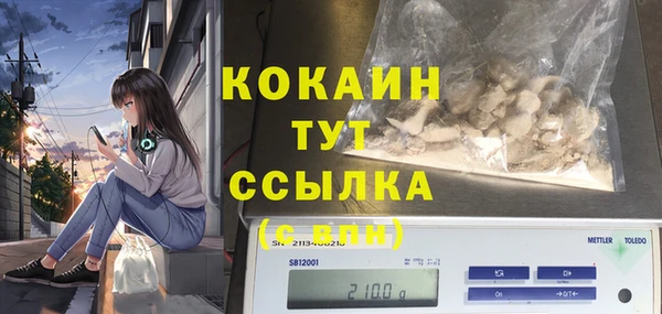 дживик Мегион