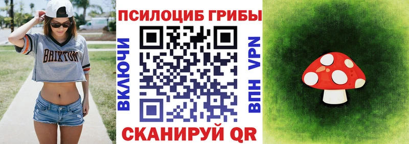 Галлюциногенные грибы мухоморы  ОМГ ОМГ сайт  Новотроицк 